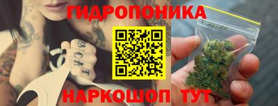 тгк Аргун
